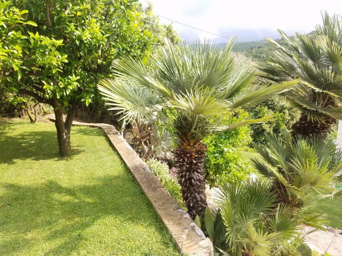 Marivo Guest House 莫鲁纳特 外观 照片